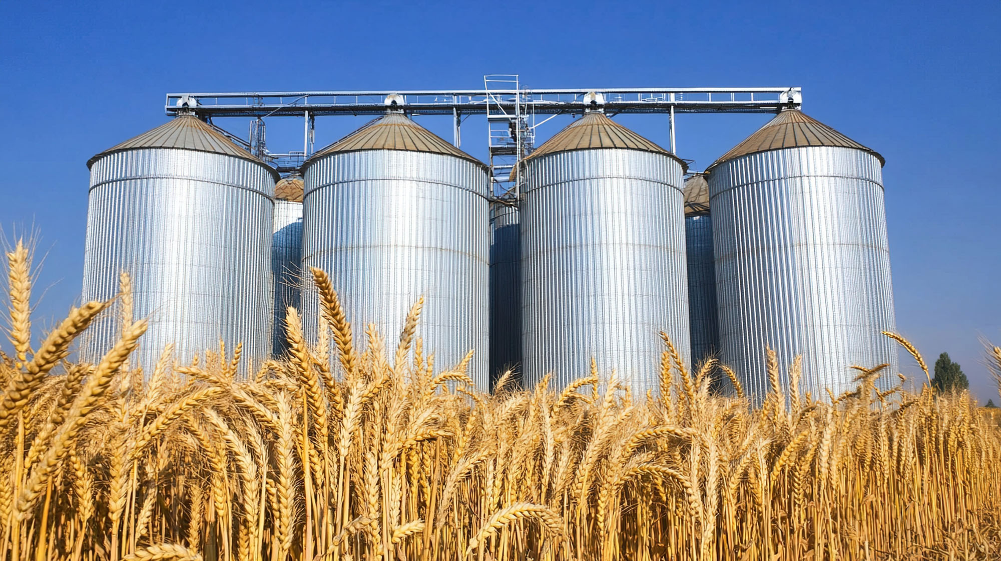 Grain silos standing tall amidst vast farmland, symbolizing the