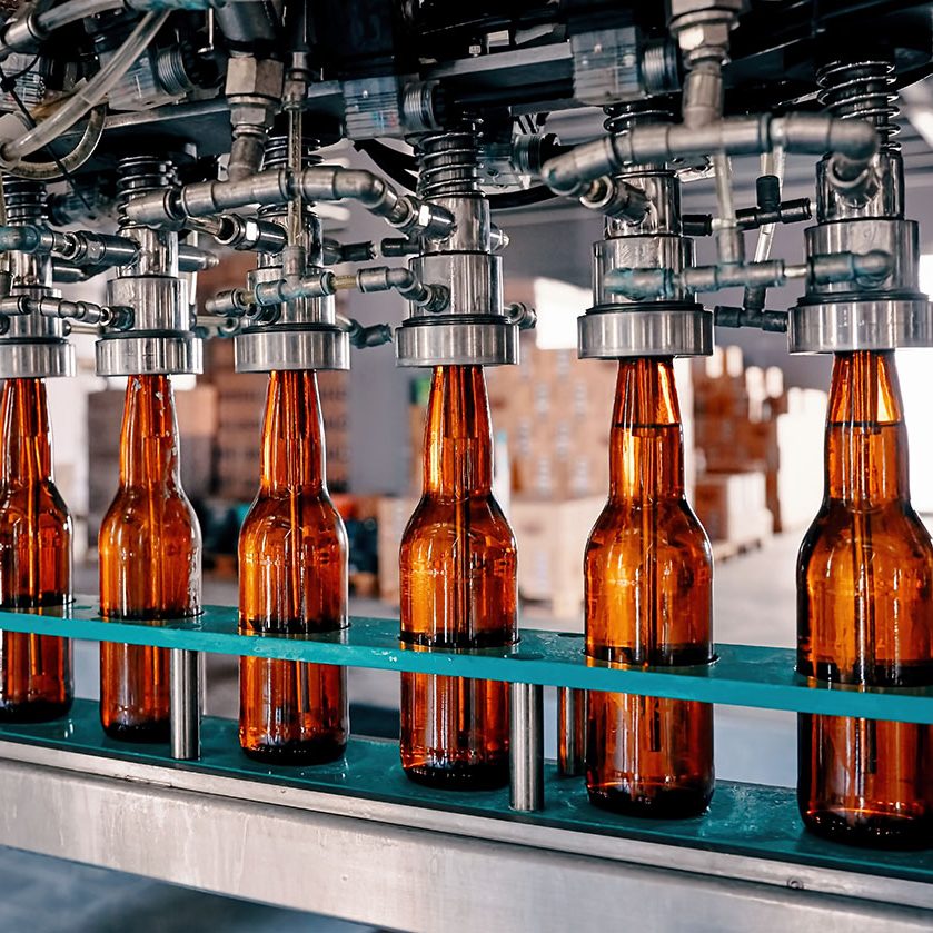 Beer bottles filling on the conveyor belt in the brewery factory Beer bottles filling on the conveyor belt in the brewery factory